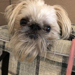 Meet your Posher, Denise